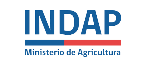 logo-indap